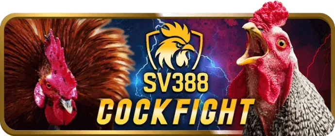 Tốc độ xử lý nhanh chóng bigbet88 App